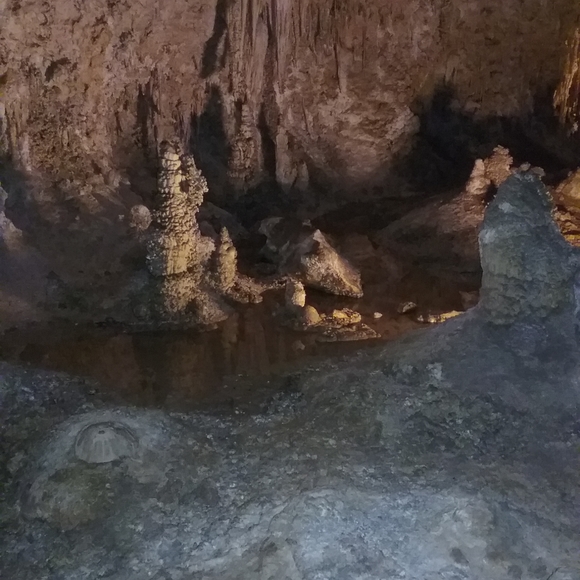 Meet your Posher, Leone - Picture 9 of 14